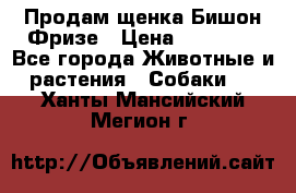 Продам щенка Бишон Фризе › Цена ­ 30 000 - Все города Животные и растения » Собаки   . Ханты-Мансийский,Мегион г.